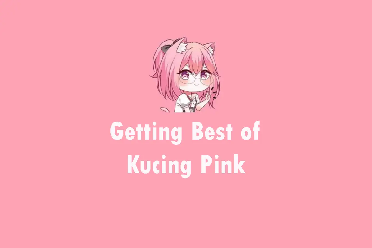 Getting the Best Out of Kucing Pink Streaming Platform